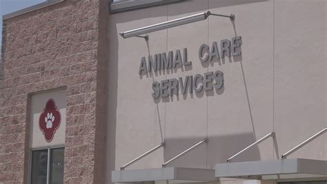 department of veterinary services city pound|Interim director picked for San Antonio Animal Control Services.
